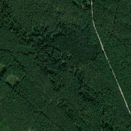 Satelita