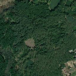 Satelita