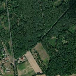 Satelita