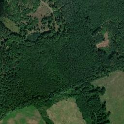 Satelita