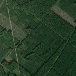 Satelita