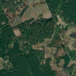 Satelita