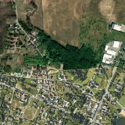 Satelita