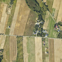 Satelita