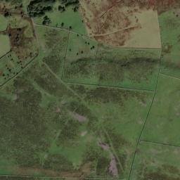 Dyffryn Ardudwy map(satellite map)
