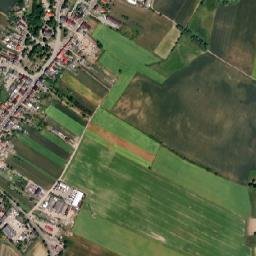 Gąsawa map(satellite map)