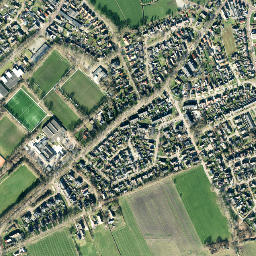 Ruinen map(satellite map)