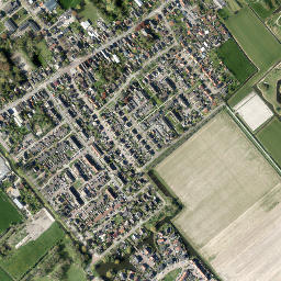 Winkel map(satellite map)