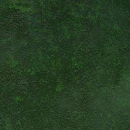 Starokulatkinskiy Rayon map(satellite map)