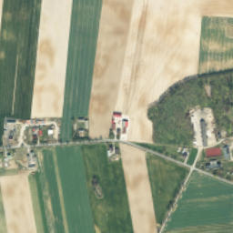 Satelita
