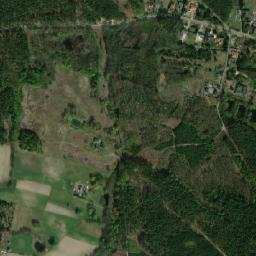 Satelita