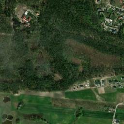 Satelita