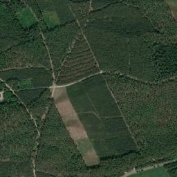 Satelita