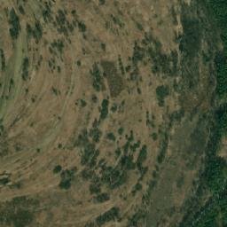 Satelita