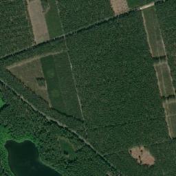 Satelita