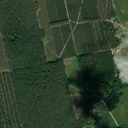 Satelita