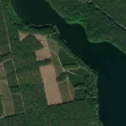 Satelita