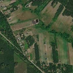 Satelita