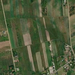 Satelita