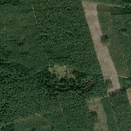 Satelita