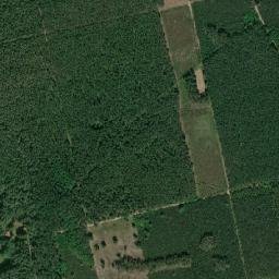Satelita