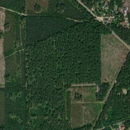 Satelita