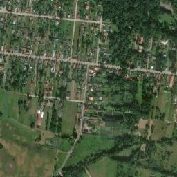 Białowieża map(satellite map)