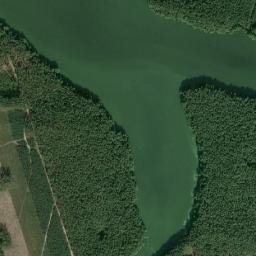 Satelita