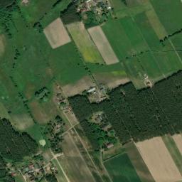 Satelita