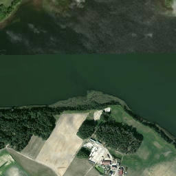 Satelita