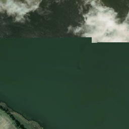 Satelita
