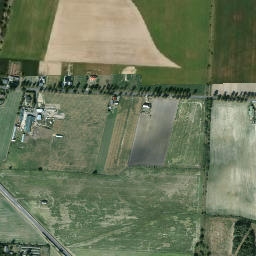 Satelita