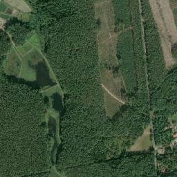 Satelita