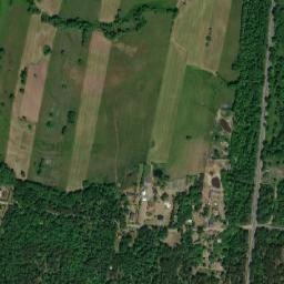 Satelita