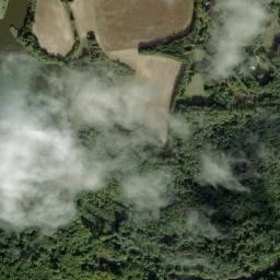 Satelita