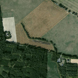 Satelita