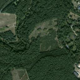 Satelita