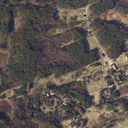 Satelita