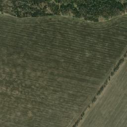 Brasovskiy Rayon map(satellite map)