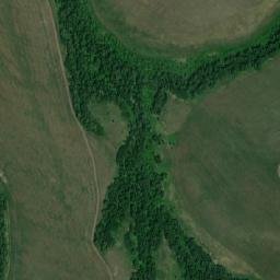 Mamontovskiy Rayon map(satellite map)