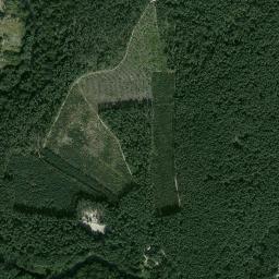 Satelita