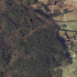 Satelita