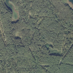 Satelita