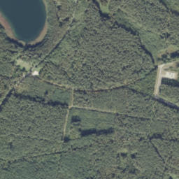 Satelita