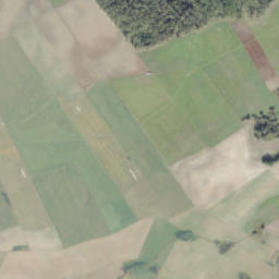 Satelita