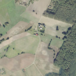 Satelita