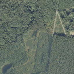 Satelita