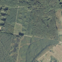 Satelita