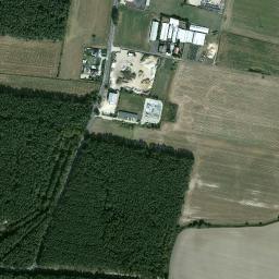 Satelita