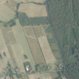 Satelita